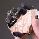 Orthoclase with Tourmaline group and Quartz var. Smoky Quartz - image 2