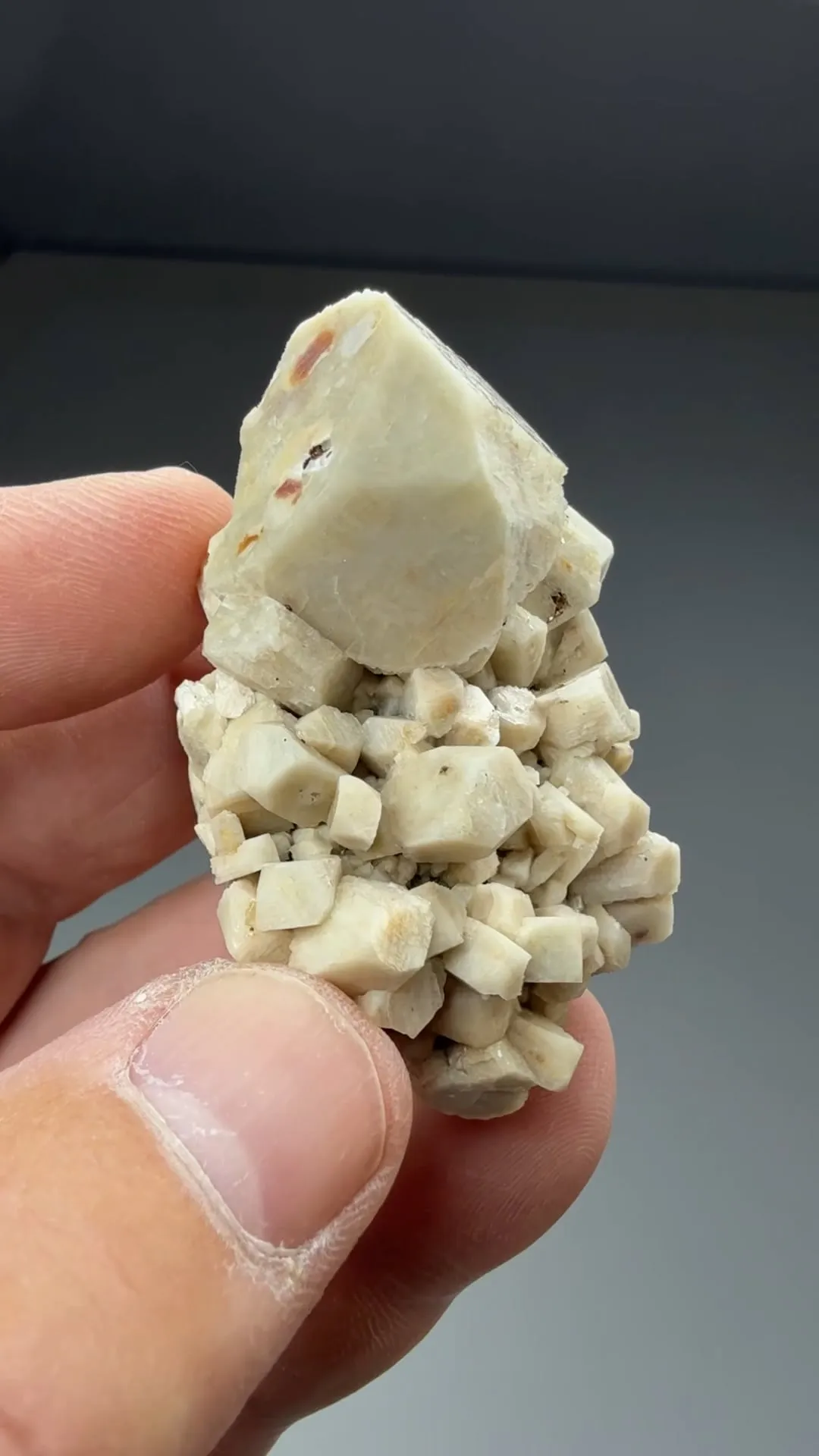 Orthoclase with Zircon - image 2