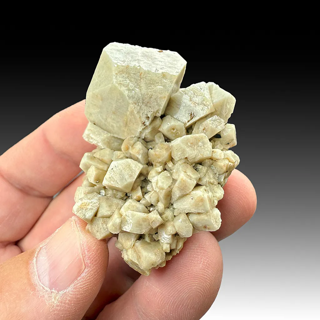 Orthoclase with Zircon image