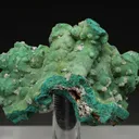 Otavite with Rosasite and Cerussite - image 1