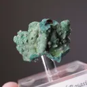 Otavite with Rosasite and Cerussite - image 2