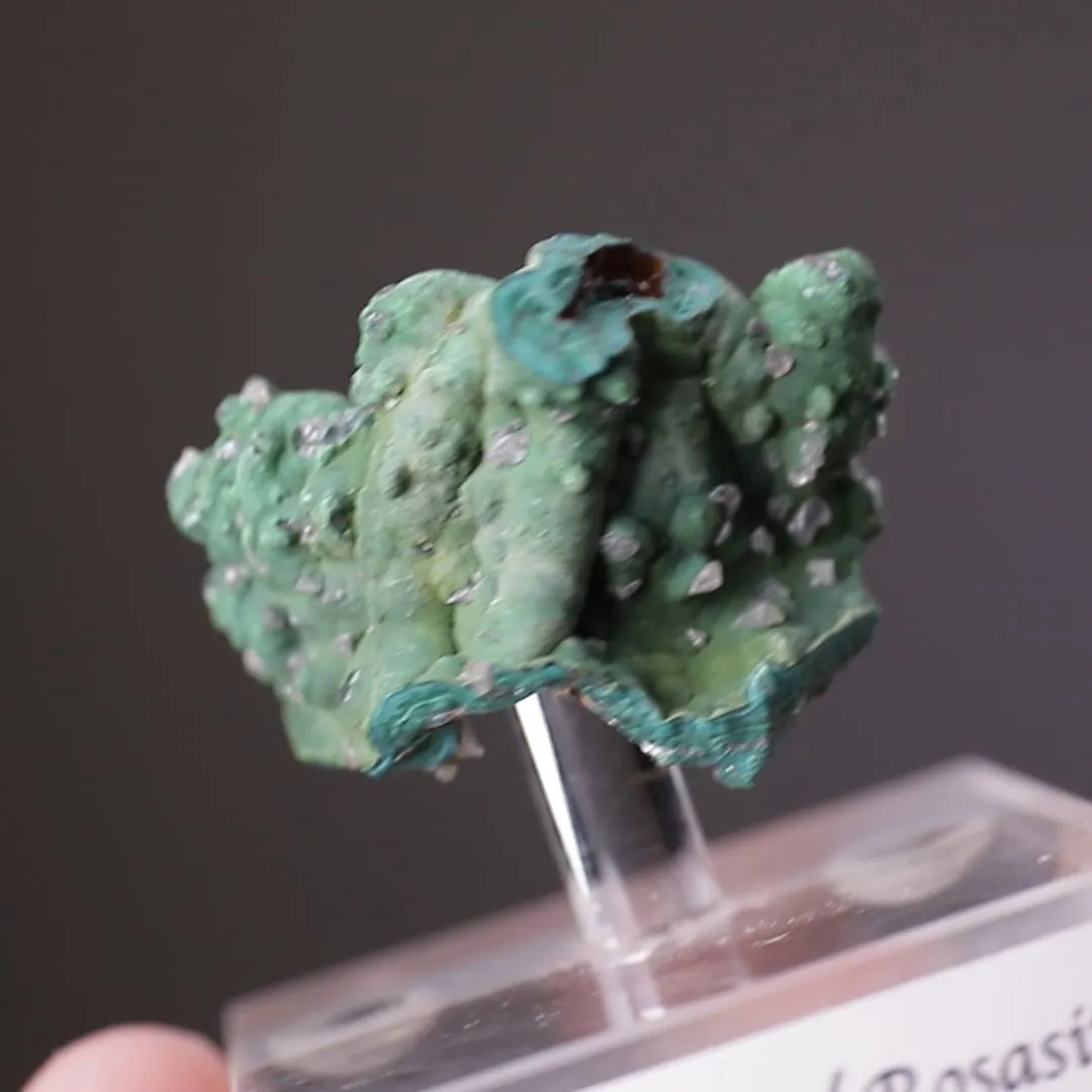 Otavite with Rosasite and Cerussite - image 2