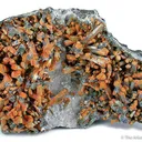 Ottensite on Stibnite - image 1