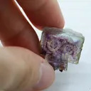 Owl or Skull? - image 2