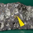 Oxykinoshitalite with Ulvospinel, Nepheline, Olivine, Augite, Calcite, Apatite, Potassium Feldspar on Olivine Nephelinite - image 1