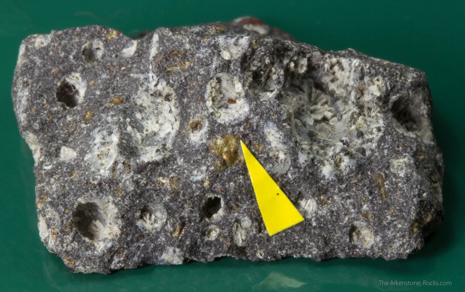 Oxykinoshitalite with Ulvospinel, Nepheline, Olivine, Augite, Calcite, Apatite, Potassium Feldspar on Olivine Nephelinite - image 1