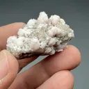 Oyelite with Bultfonteinite, Calcite - image 2