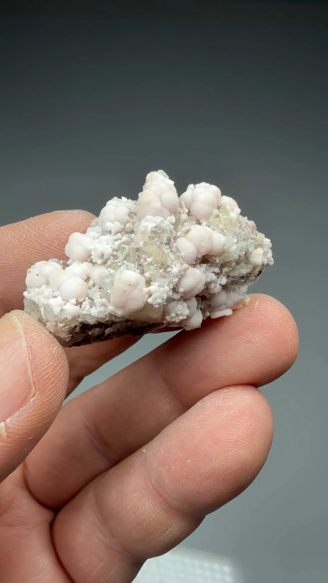 Oyelite with Bultfonteinite, Calcite - image 2