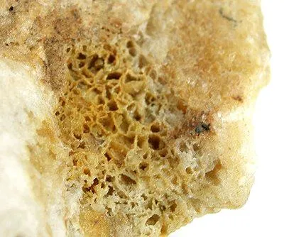 Pachnolite, Thomsenolite - image 2
