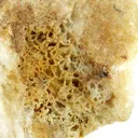 Pachnolite, Thomsenolite - image 2