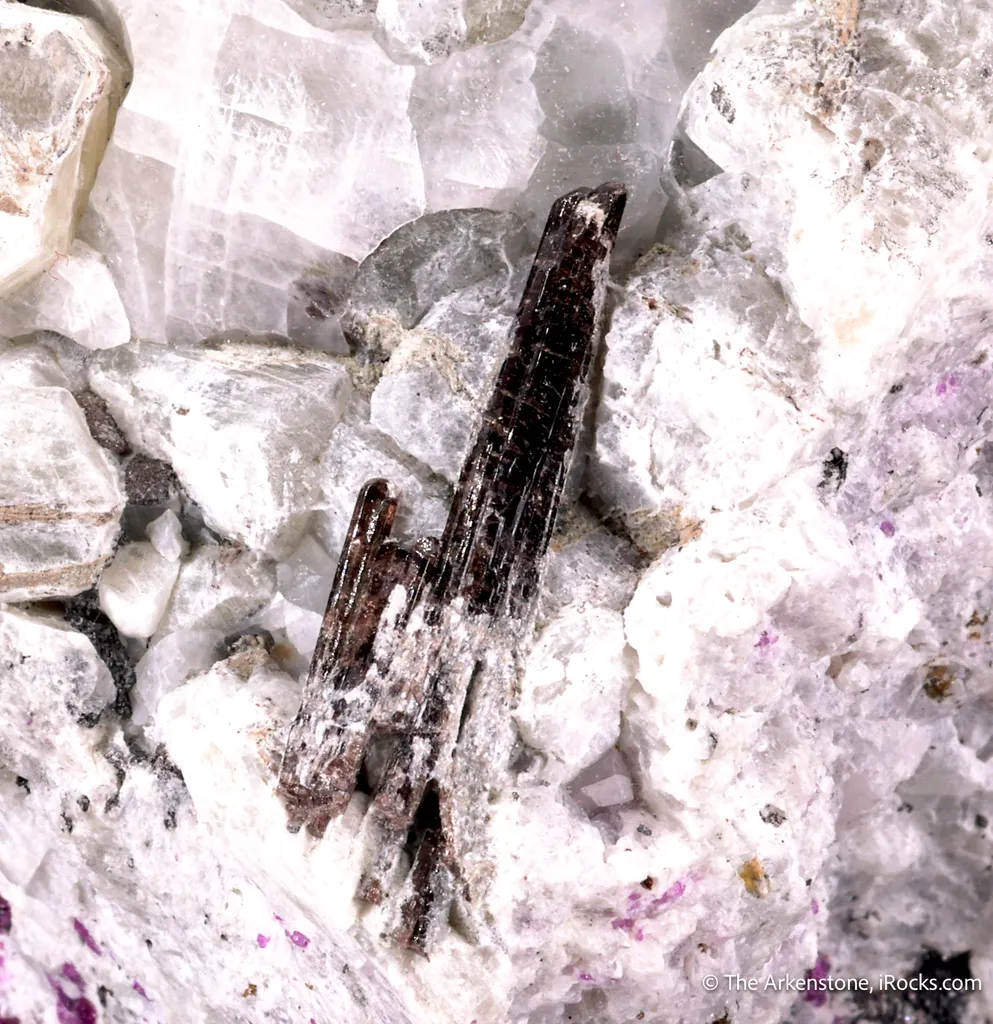 Painite and Chondrodite, Pyrite, Ruby image