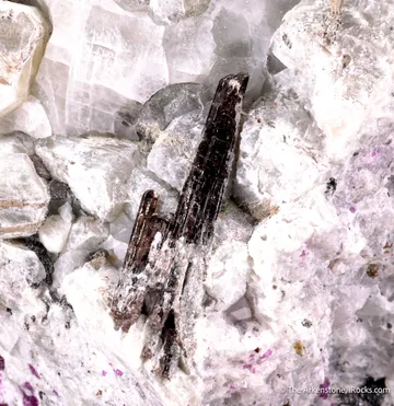 Painite and Chondrodite, Pyrite, Ruby