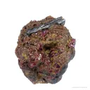 Painite and Ruby - image 3