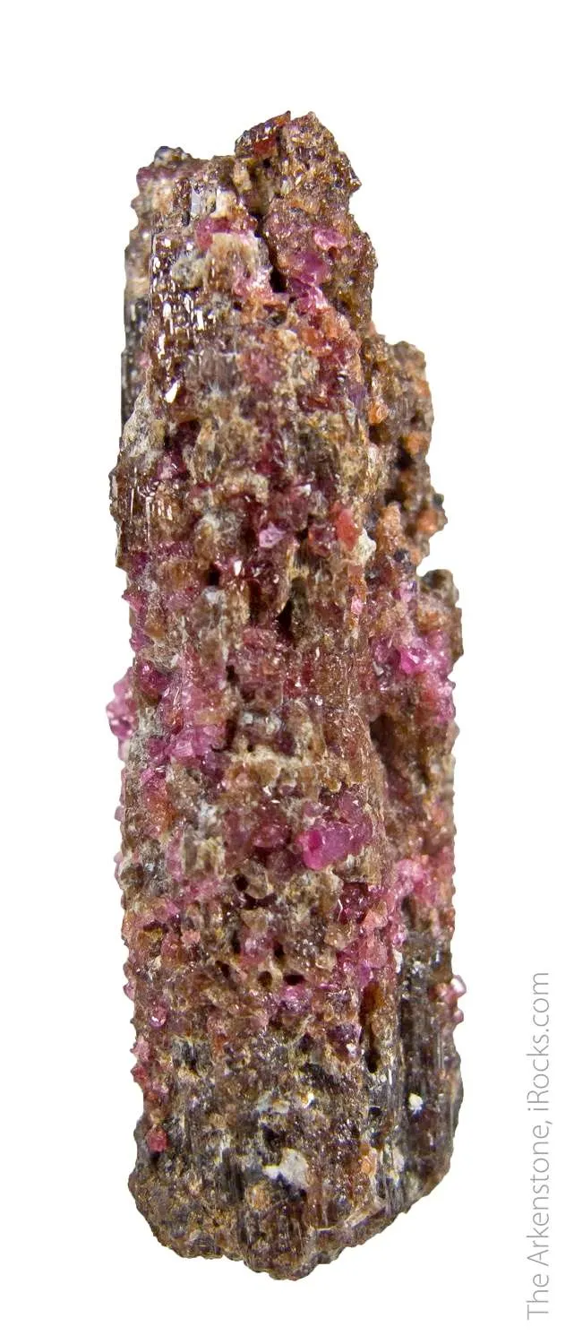 Painite with Corundum - image 3