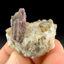 Painite with Corundum - image 1