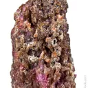 Painite with Corundum - image 1