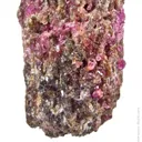 Painite with Corundum - image 5