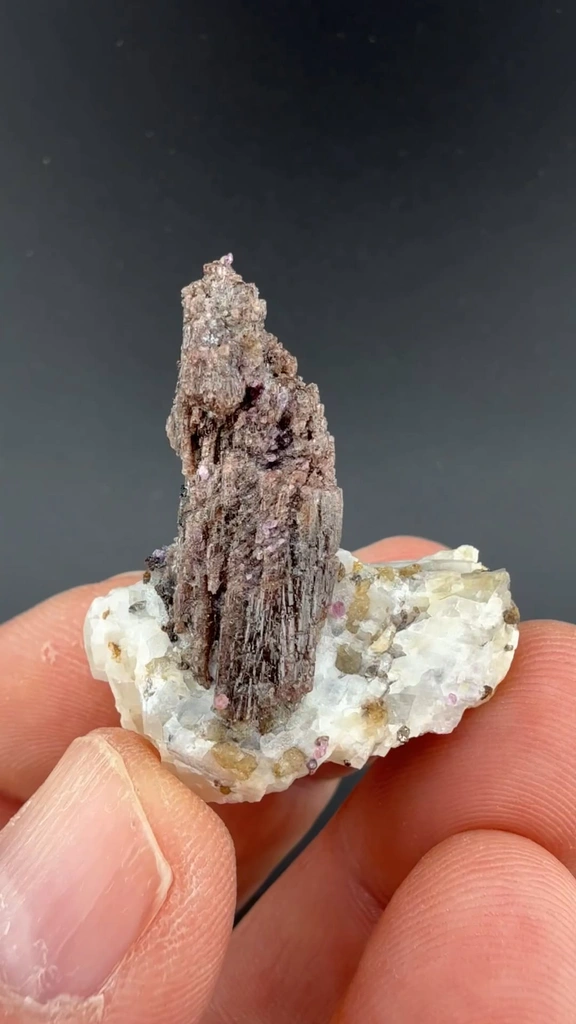 Painite with Corundum - image 2