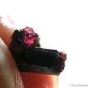 Painite With Gem Ruby - image 2