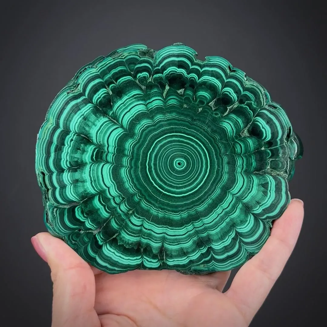 Pair of Malachite Slices (Polished) - image 1