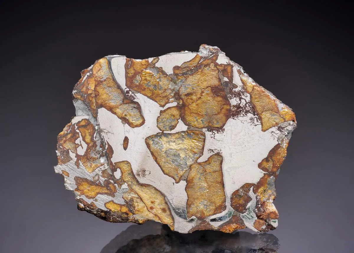 Pallasite Stony-Iron Meteorite - image 1