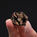 Pallasite Stony-Iron Meteorite - image 2