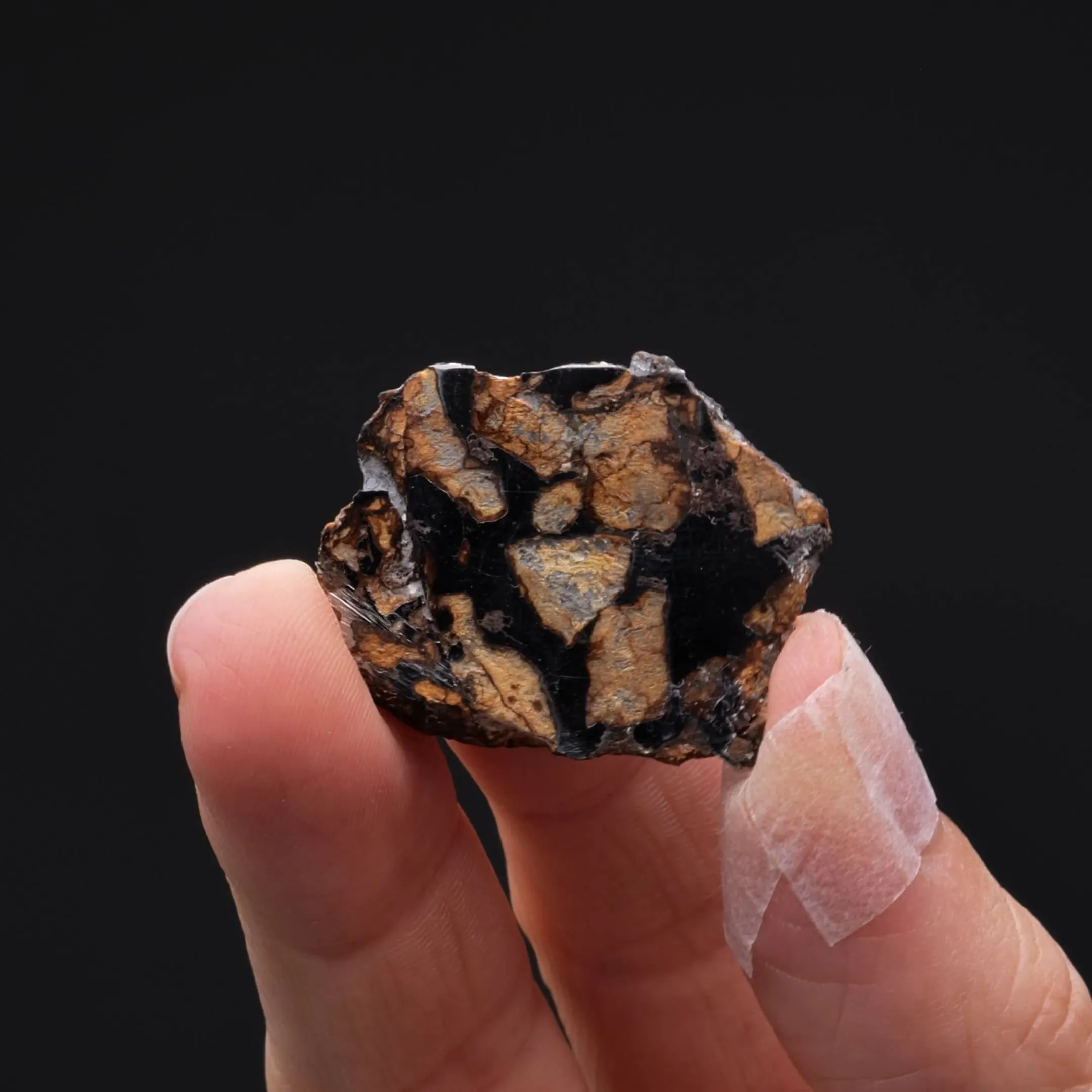Pallasite Stony-Iron Meteorite - image 2