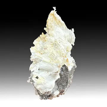 Palygorskite (1038)