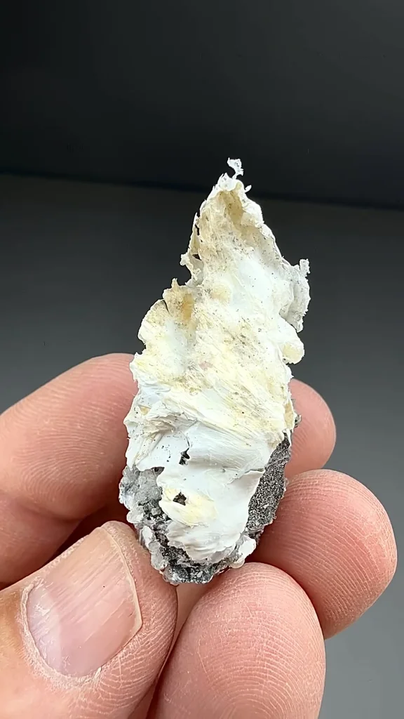 Palygorskite from Virginia, USA - image 2