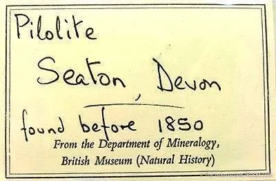 Palygorskite Var. Pilolite - image 2