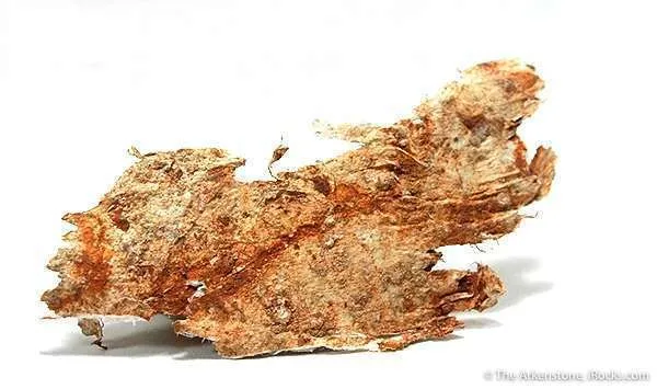 Palygorskite Var. Pilolite image