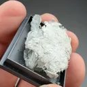 Palygorskite with Calcite - image 2