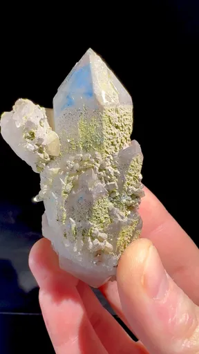 specimen video