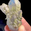 specimen video