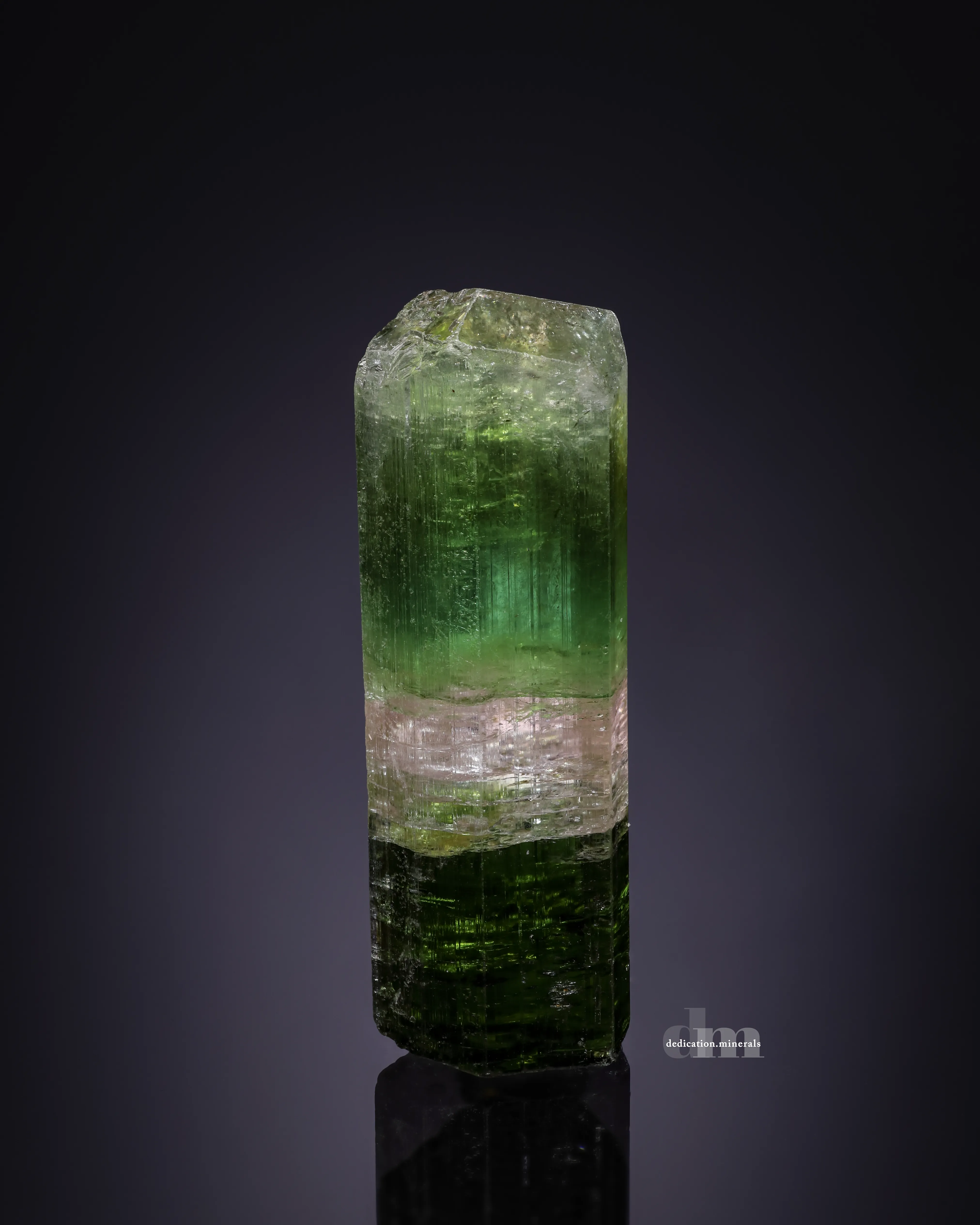 Paprok Tourmaline - image 1