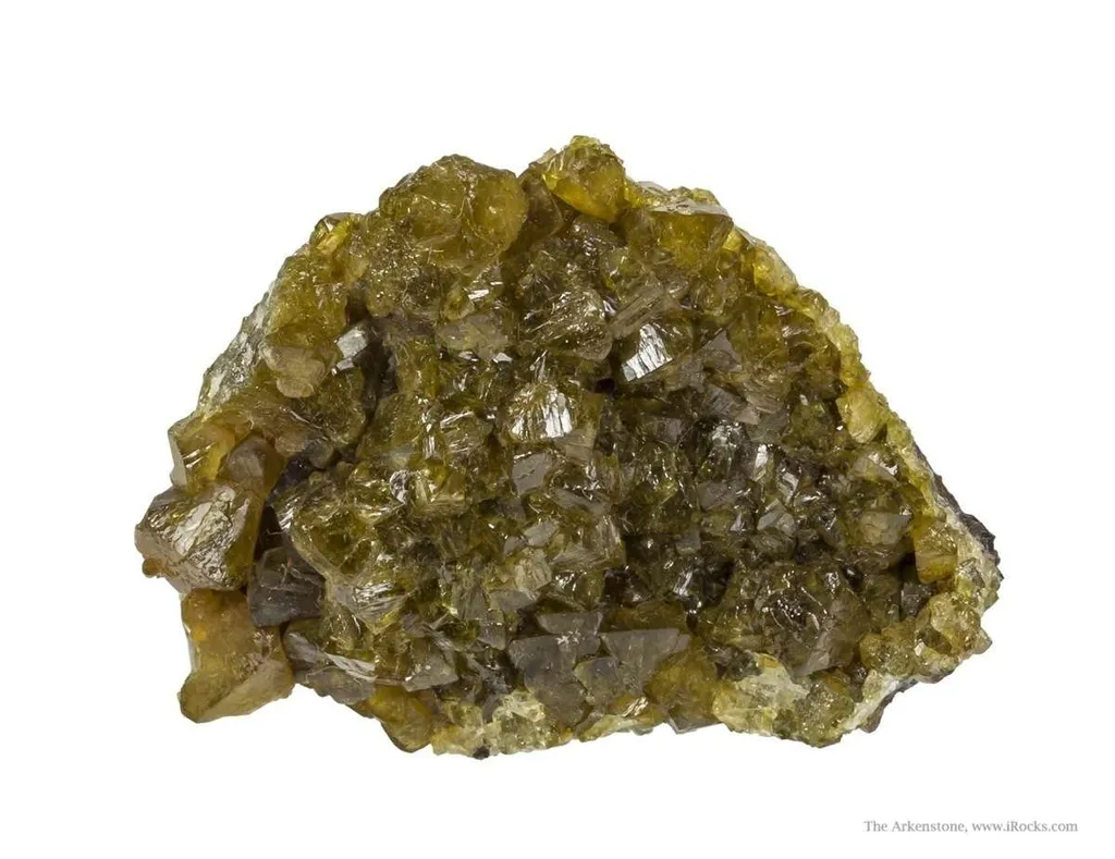Paradamite image