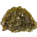 Paradamite - image 1