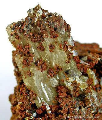 Paradamite - image 3