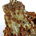 Paradamite - image 3