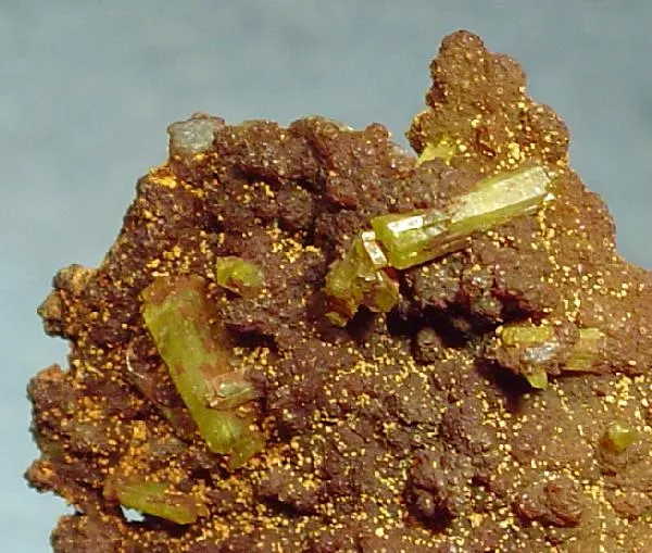 Paradamite - image 2