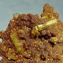 Paradamite - image 2