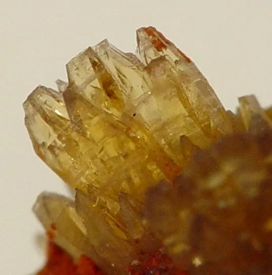 Paradamite - image 2