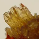 Paradamite - image 2