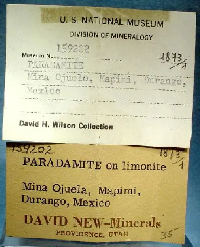 Paradamite - image 3