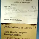 Paradamite - image 3