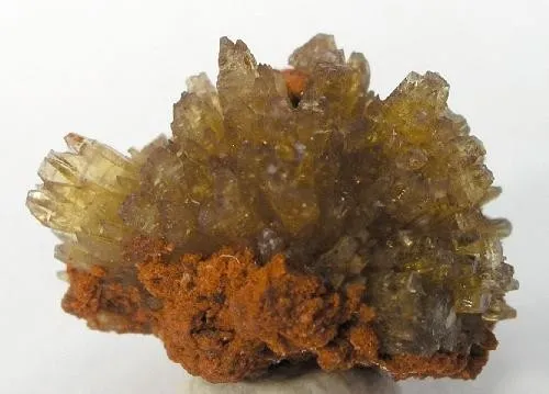 Paradamite image
