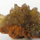 Paradamite - image 1