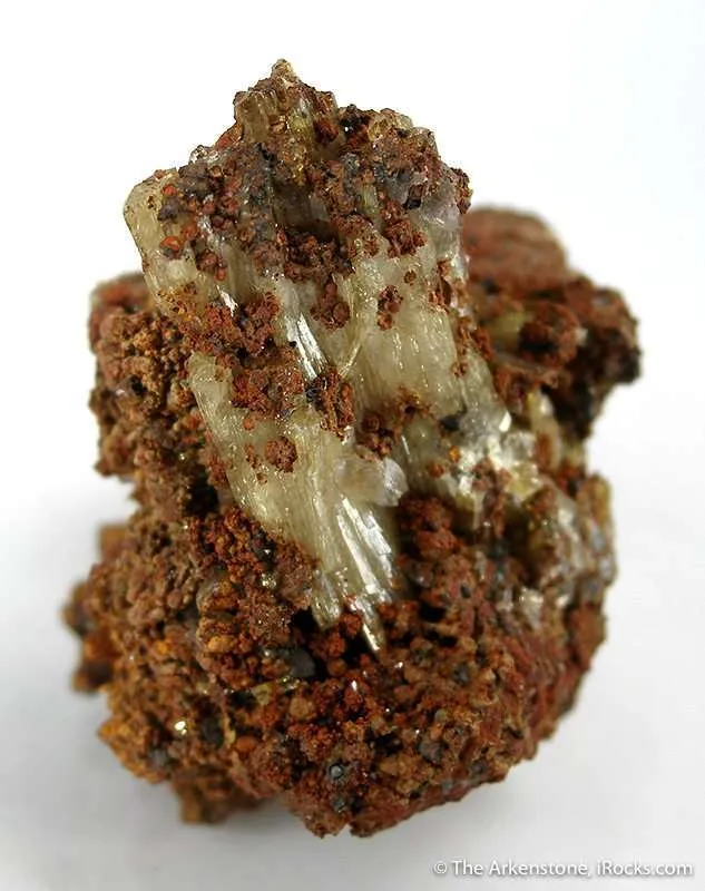 Paradamite image