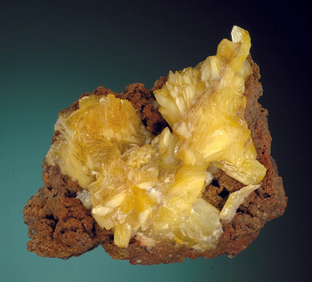 Paradamite image