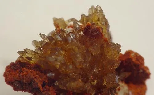 Paradamite image